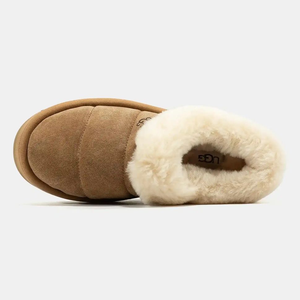 UGG Tazzlita Chestnut, 36