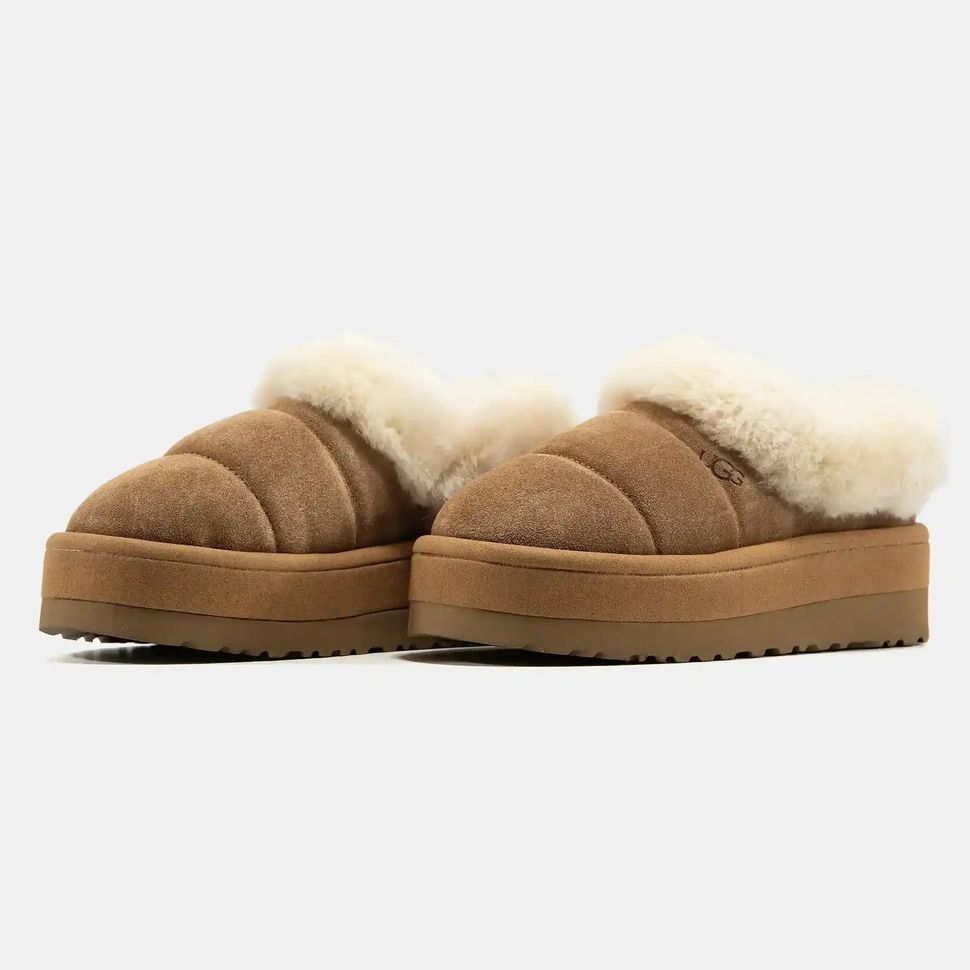 UGG Tazzlita Chestnut, 36